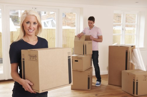 Boxes and household items ready for transparent Stmarycray Storage pricing