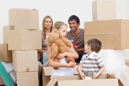 Fragile item packing service in Stmarycray with protective materials